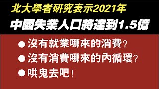 北大学者研究表示，中国失业人口将达到1.5亿。没有就业哪来的消费，没有消费哪来的内循环，全是哄人的。2021.02.01NO639#失业#就业#内循环