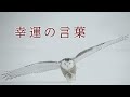 幸運の言葉『こころの四季』22