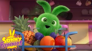 SUNNY BUNNIES - MULTICOLOUR MAGIC FRUITS AND VEGETABLES | Season 5 | Cartoons for Children