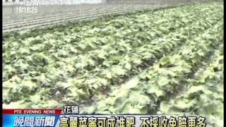 20140411 公視晚間新聞 高麗菜價格崩跌 花蓮農民血本無歸