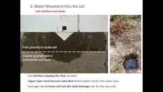 Webinar: Using trees and soils in urban stormwater management