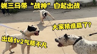 姚三马带“战神”白起出战，出场1v2气质不凡，大家猜谁赢了？