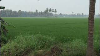 mana velivennu //beautiful location //palleturi andaalu //