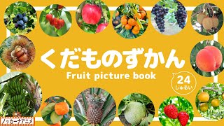 【くだもの図鑑】おいしそうな果物がずらり24種！知育アニメ【赤ちゃん・子供向け】Fruit  picture book for kids