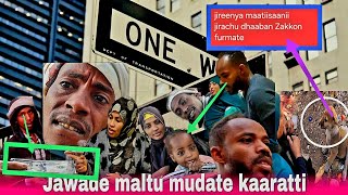 🛑Jawade maltu mudate osoo fatiya bira deemu qabamee bahari fi Furmaten waan zakkon