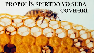 Differences in the content of propolis in alcohol and water. PREPARATION