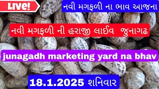 નવી મગફળીના બજાર ભાવ | મગફળીના આજના બજાર ભાવ | જુનાગઢ મગફળીના ભાવ |Junagadh marketing yard 18.1.2025