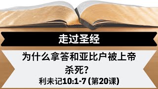 为什么拿答和亚比户被上帝杀死？[利未记10:1-7][第20课]