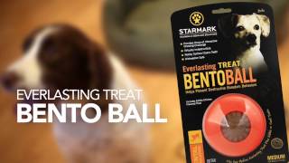 Starmark Pet Products