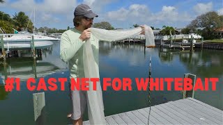 What's The Best Cast Net For Whitebait \u0026 Pinfish In Shallow Water?