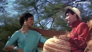 Aaj Phir Jeene Ki Tamanna Hai Status Song | Lata Mangeshkar | Waheeda Rehman | Guide(1965)