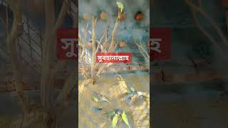 আর নয় কাফের ফতোয়া এবার বুকে টেনে নিলেন এনায়েত উল্লাহ আব্বাসী।#shorts