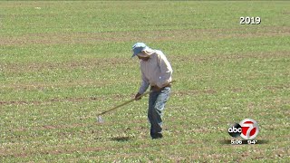 Farmer worried he won't be able to harvest crop during pandemic