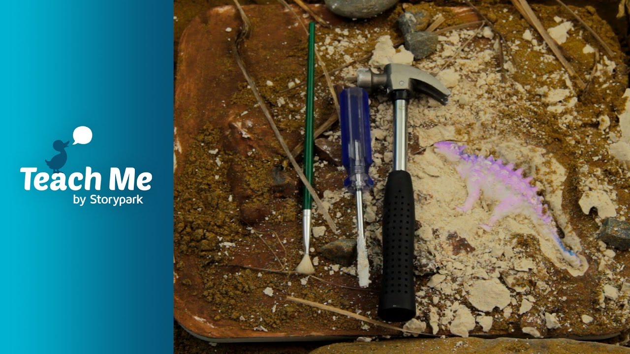 Future Archeologist Youtube