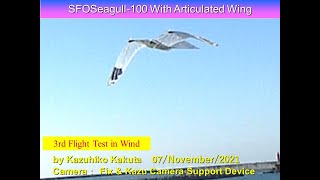 サーボ駆動カモメ型羽ばたき機 翼に関節 ServoFlapOrnithopterSeagull-100 with Articulated wings: 3rd Flight Test in Wind