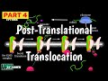 Post Translational Translocation To ER | Protein Translocation To ER |