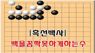 [흑선백사] 침착한 한수로 완벽히 잡는방법 - 바둑사활 묘수