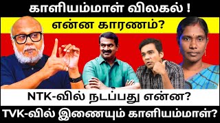 காளியம்மாள் விலகல் NTK-வை பாதிக்குமா? l Journalist Mani l Gabriel Devadoss l Tamil Thadam