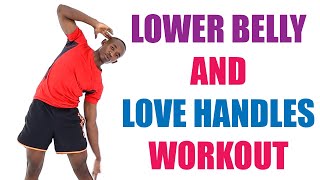 Lower Belly and Love Handles Workout/ 20 Minute Standing Midsection Workout