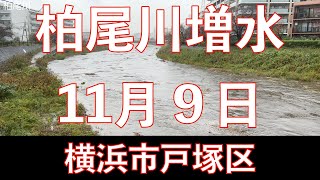 柏尾川また増水。横浜市戸塚区。2021年11月9日