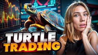 🐢 BEST TURTLE TRADING STRATEGY - Perfect Strategy for Beginners