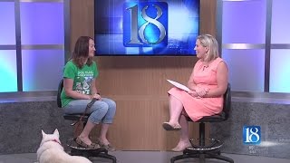 News 18 This Morning's Pooch Plunge preview