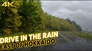 Relaxing drive in Hokkaido: Crossing green fields in the rain [4K 60 FPS]