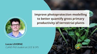 Improve photoprotection modeling to better quantify gross primary productivity of terrestrial plants