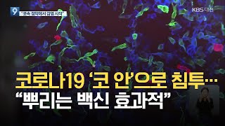 코로나19 ‘코 안’으로 침투…“뿌리는 백신 효과적” / KBS 2021.07.02.