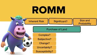 Risks of Material Misstatement