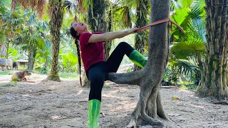 agricultural vehicle transporting wood full video transporting giant wood