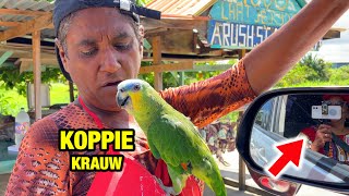 Combe Markt Suriname | Groente Verkoop Op Straat Van Kwattweg | Koppie Krauw Parkiet