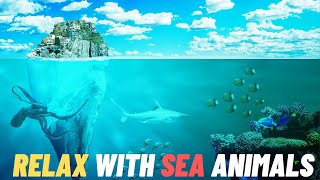 Beautiful Coral Reef Fish, Relaxing Ocean Fish, & Soothing Music for Meditation, Therapy, deep Sleep