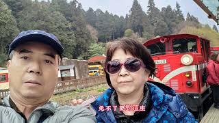 “阿里山櫻花季”之旅第一集(阿里山火車站沼平車站和沼平公園部分)2023/3/29