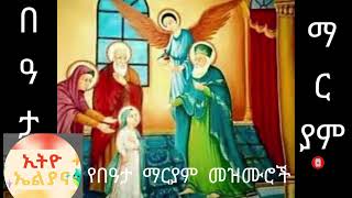 የበዓታ ማርያም  መዝሙሮች  Ye Bata Mariam Mezmur