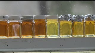 Early 2020 looking sweet for local maple syrup producers