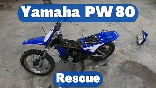 Yamaha PW80