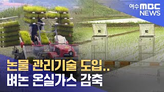 논물 관리기술 도입.. 벼논 온실가스 감축 -R (230608목/뉴스투데이)