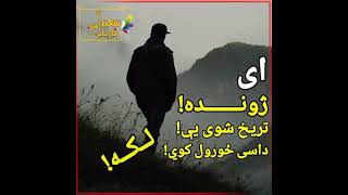 ملګرو ده نور  ویډیو ګانو له پاره انتظار اوسې