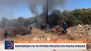 Ενημέρωση για το πύρινο μέτωπο στα Ψαχνά Ευβοίας | OPEN TV