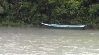 増水の四万十川で鮎釣り　Fishing in the swollen river