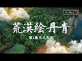 《荒漠绘丹青》 绿色长城：中国防沙治沙的生态奇迹 EP01【CCTV纪录】