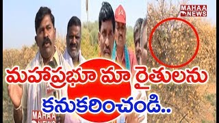 నీరు లేక ఎండిపోతున్న చీనీ తోటలు || Farmers Protest Against Collector At Anantapur || MAHAA NEWS