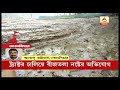 তুফানগঞ্জে বিজেপি নেতার বীজতলা নষ্টের অভিযোগ অভিযুক্ত তৃণমূল। abp ananda