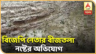 তুফানগঞ্জে বিজেপি নেতার বীজতলা নষ্টের অভিযোগ, অভিযুক্ত তৃণমূল। ABP Ananda