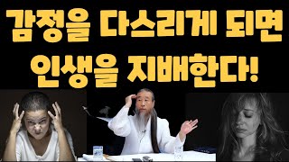 감정 조절이 어려운 충격적인 이유! [정법 모음]