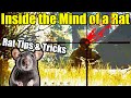 How to be... RAT! || Escape From Tarkov (Full Raid/Ratting Guide)