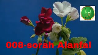 008-sorah Alanfal Quran recitation - new | beautiful Quran recitation |  | Listen Quran Online