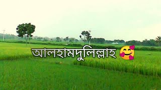 আলহামদুলিল্লাহ | ALHAMDULILLAH |Bangla islamic song | ওবায়দুল্লাহ তারেক | Cover by Yeasin Miazi