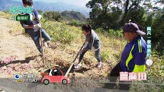 【哈旅遊 本週亮點】苗栗大湖薑麻園 體驗特色農村 2022.1.23